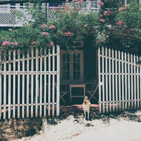 Nha Tim Homestay ダラット エクステリア 写真