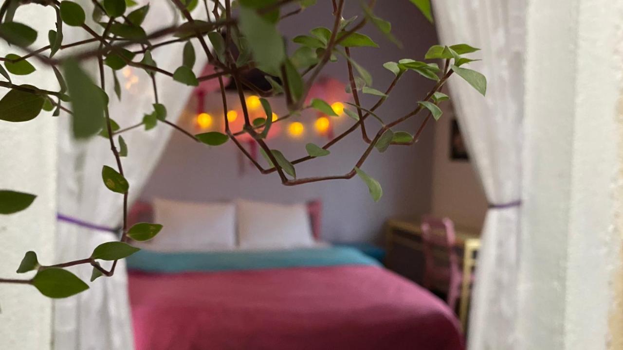 Nha Tim Homestay ダラット エクステリア 写真