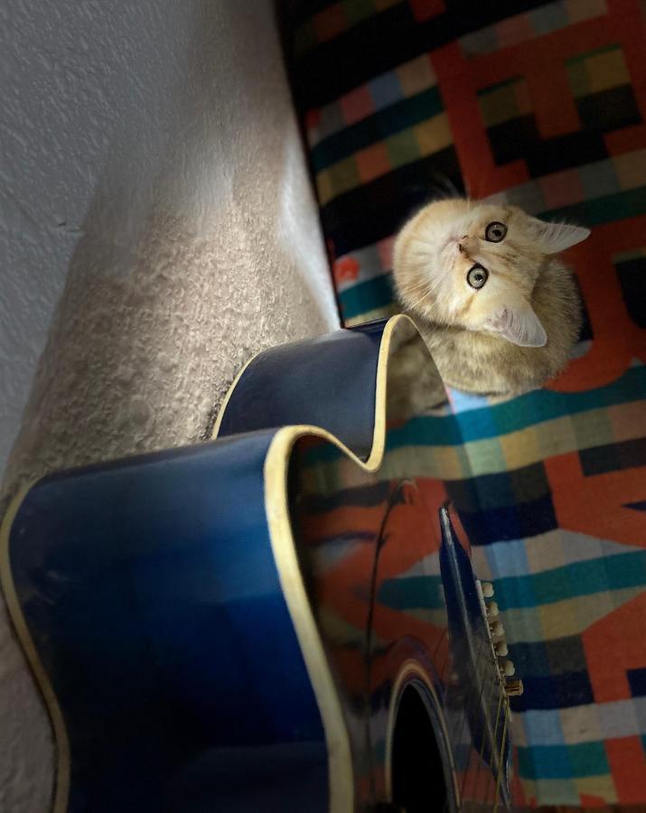 Nha Tim Homestay ダラット エクステリア 写真